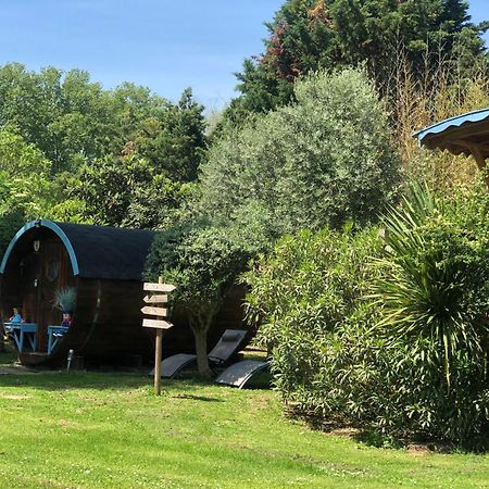 Montesquieu-Lauragais La Bastide De Negra B&B 외부 사진