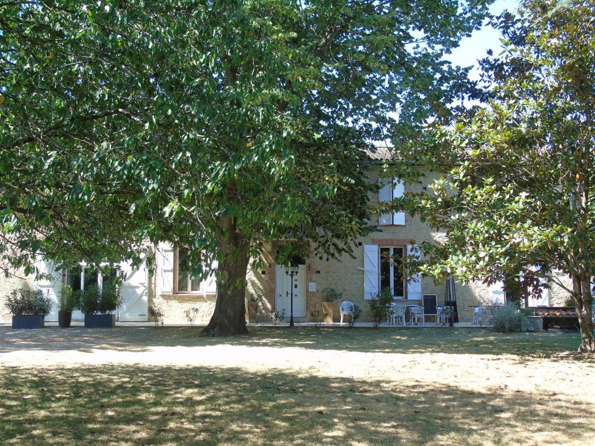 Montesquieu-Lauragais La Bastide De Negra B&B 외부 사진