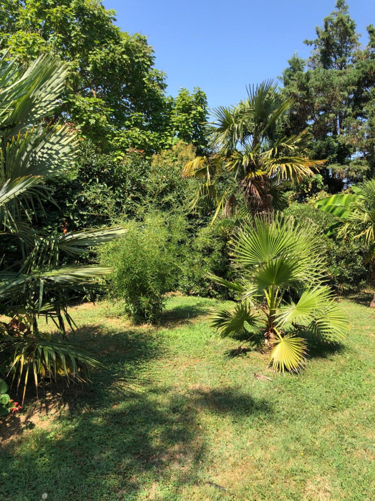 Montesquieu-Lauragais La Bastide De Negra B&B 외부 사진