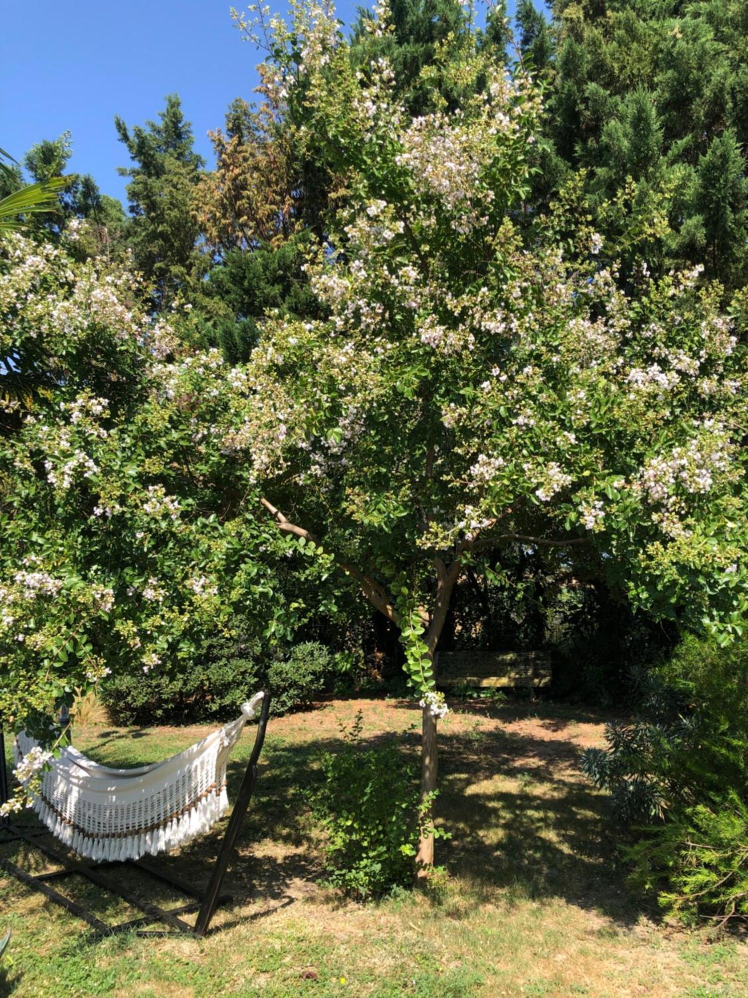 Montesquieu-Lauragais La Bastide De Negra B&B 외부 사진