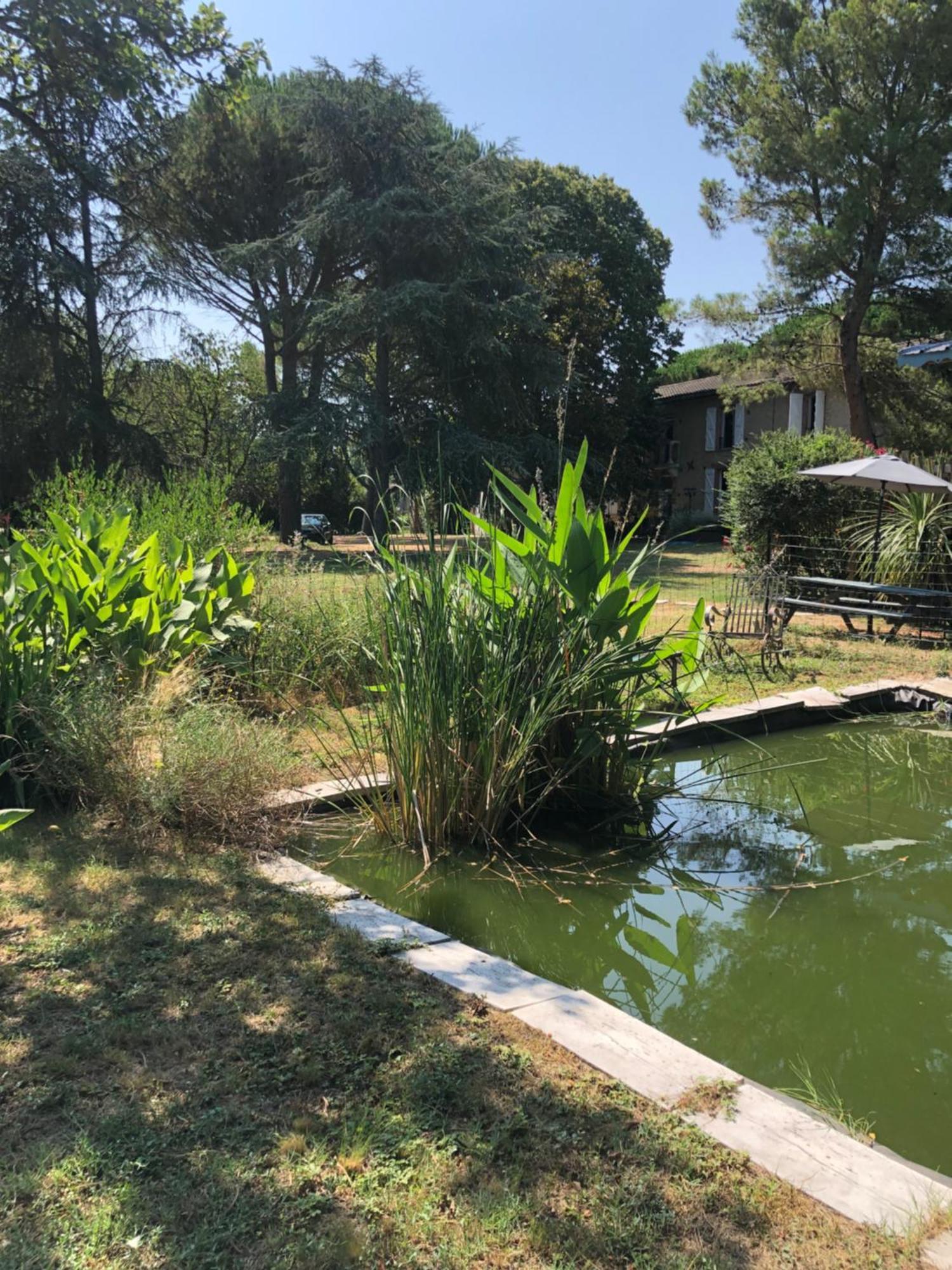 Montesquieu-Lauragais La Bastide De Negra B&B 외부 사진