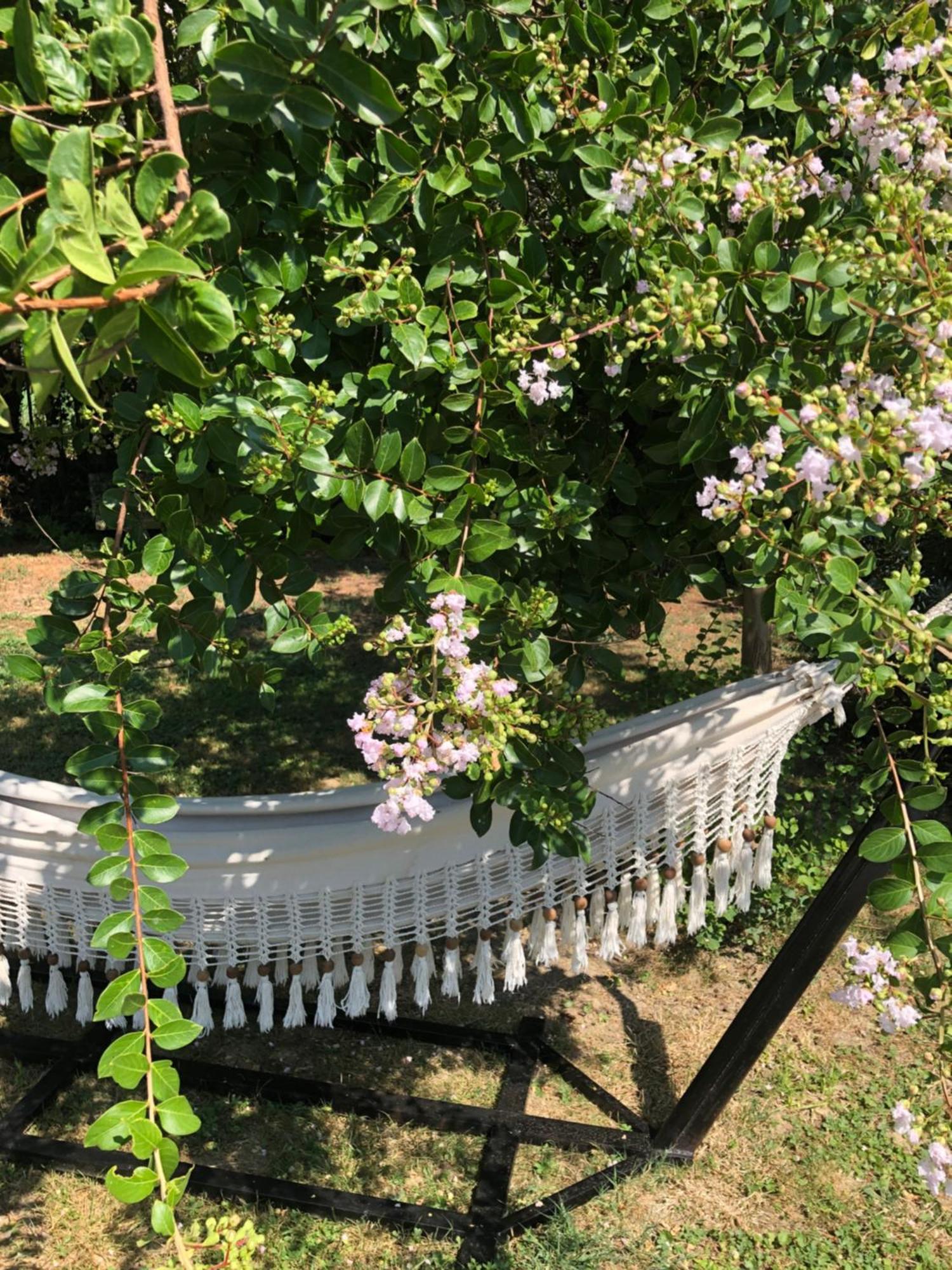 Montesquieu-Lauragais La Bastide De Negra B&B 외부 사진