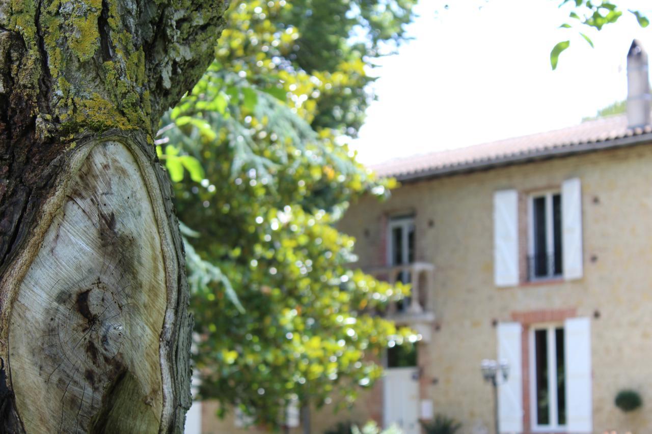 Montesquieu-Lauragais La Bastide De Negra B&B 외부 사진