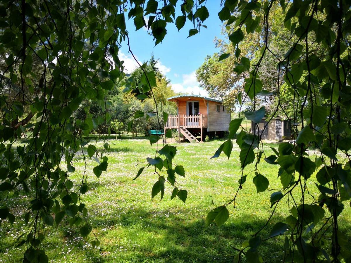 Montesquieu-Lauragais La Bastide De Negra B&B 외부 사진